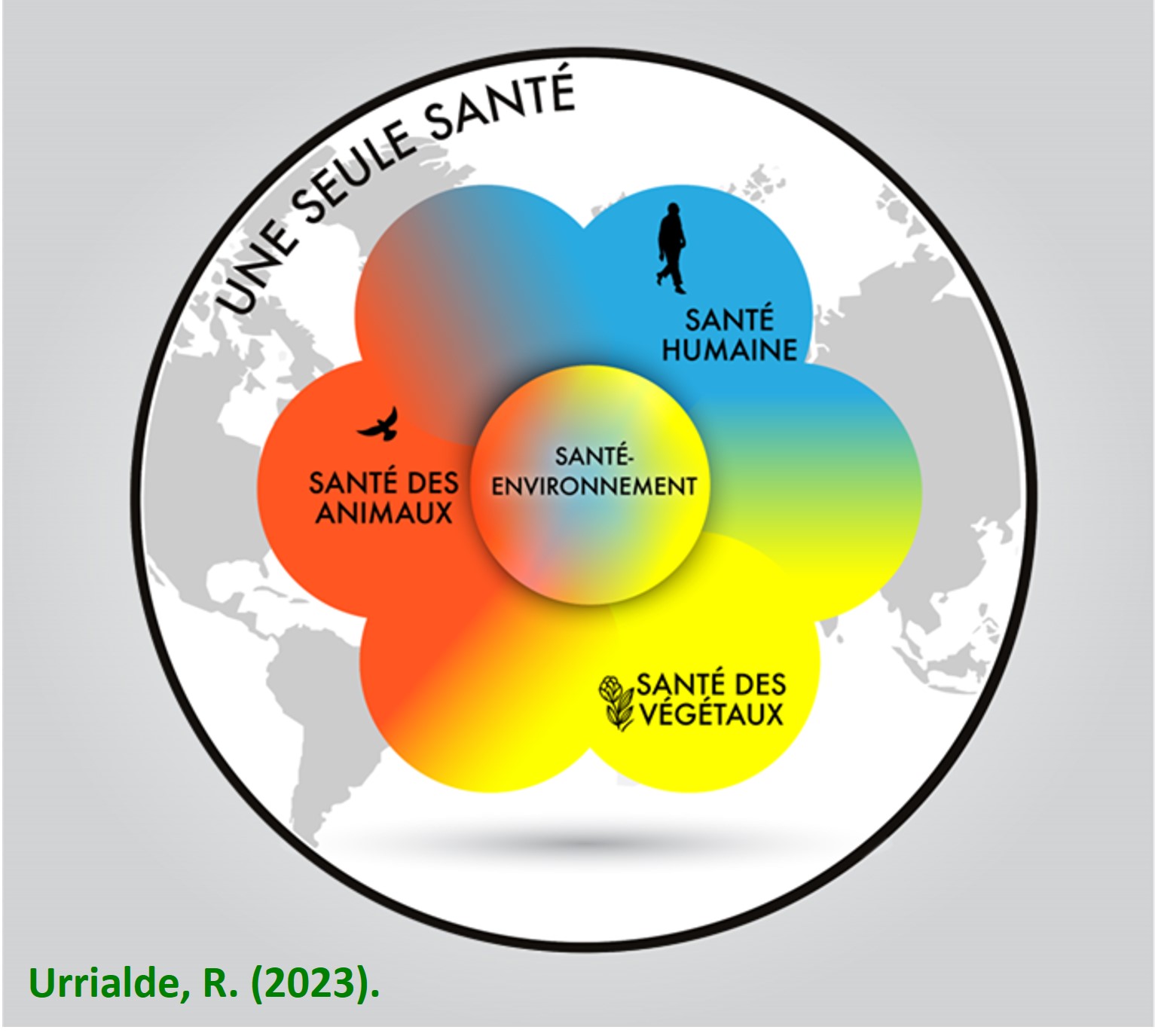 “Una Sola Salud” (One Health, en inglés; Une Seule Santé, en francés) 